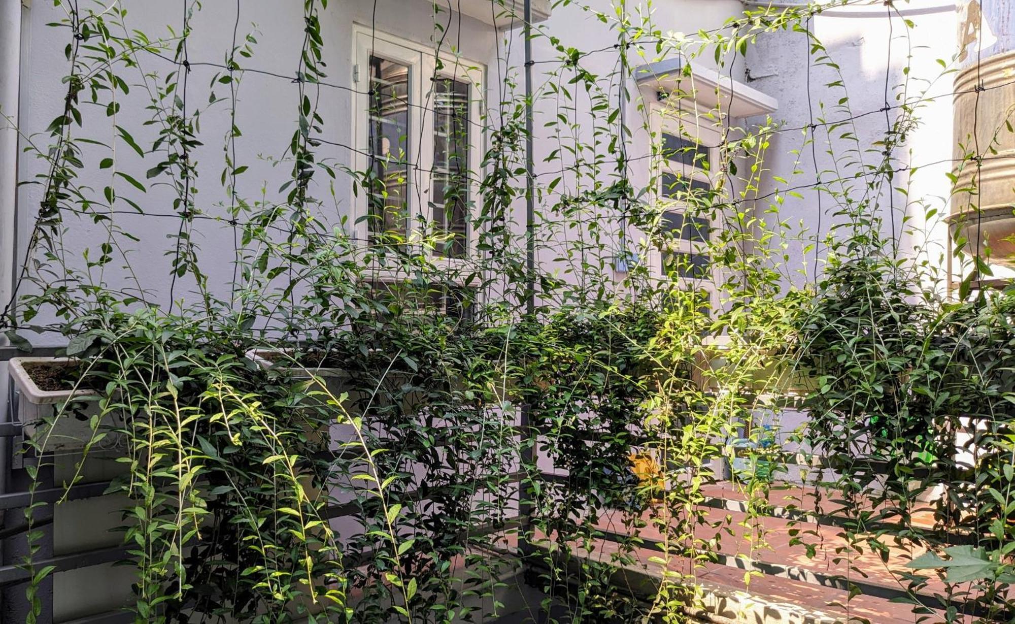 Goc Nho Ha Noi Homestay Hanoi Exterior photo